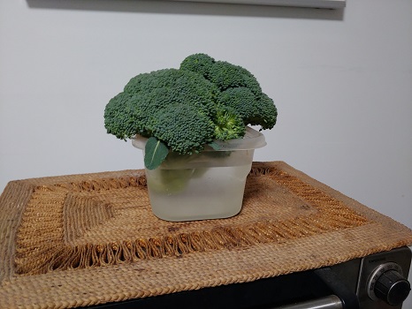 Broccoli Experiment