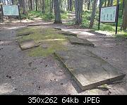 Petroglyph Replica Display