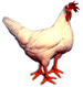 Pecky le Fowl's Avatar