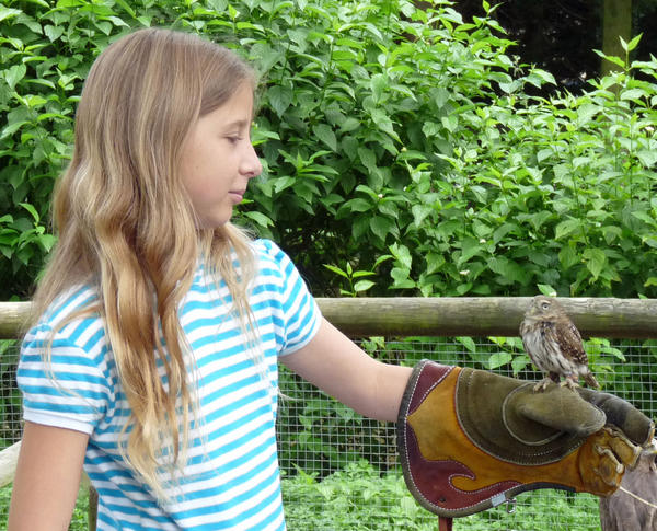 Flora and fauna 4

Daughter with a pygmy owl which only weighs 2oz
