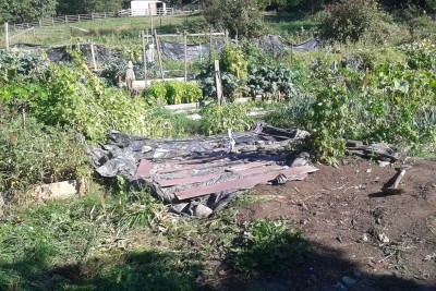 2015 Allotment Covered