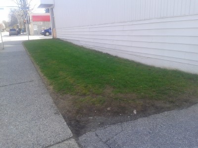 448 6th Street Mowed