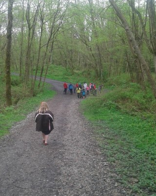 Hikers On Way