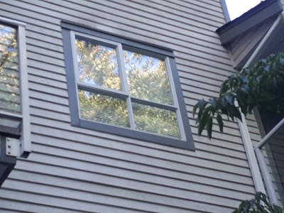 #304 BR Window