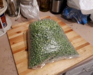 First Crop Of Green Peas