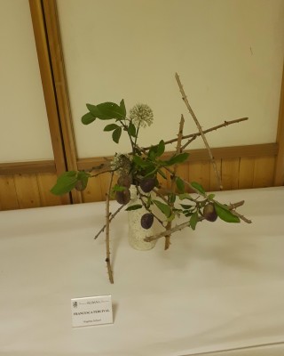 Ikebana 3