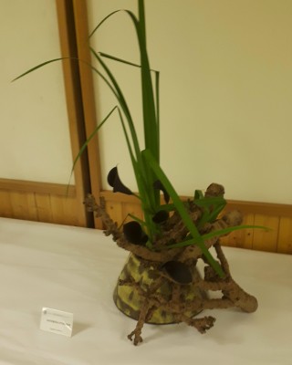 Ikebana 1