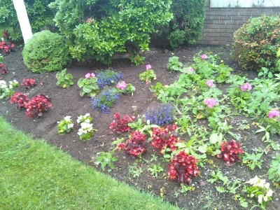 Chartwell Half Weeded Bed