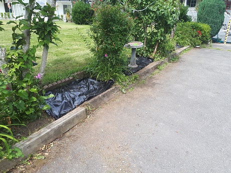 Black Topping Weeds