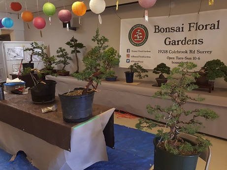 PSF Bonsai