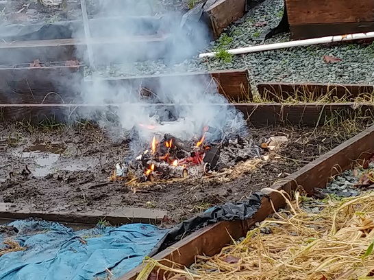 Imbolc Burning