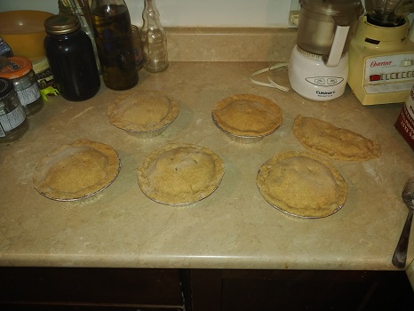 Irish Stew Meat PIes