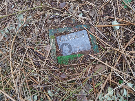 Tanbouie Grave