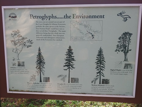 Petroglyphs the Environment
