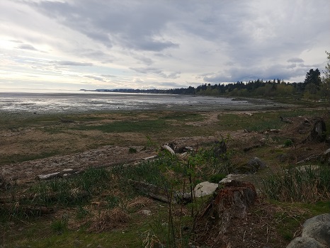 Millard Beach South