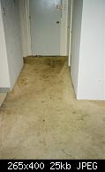 Dirty Entrance Carpet 1