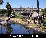 A photo I took in 2005 at the La Brea Tar Pits