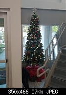 Royal LePage Tree