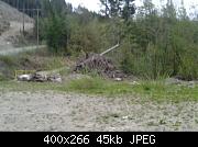 Campsite Wood Pile