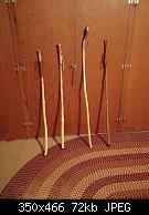 4 Walking Sticks