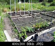 July 2nd Allotment Weeded