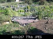 2015 Allotment Covered