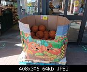Pumpkins For Sale