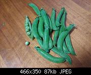 Pea Pods