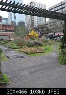 Davie & Burrard Community Garden