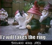 iz will takes the ring