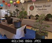 PSF Bonsai