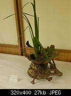 Ikebana 1