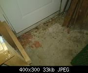 Rat Nest At Rear Door
