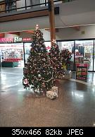 8th Street Mall Tree