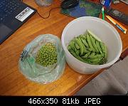 Bucket Of Peas