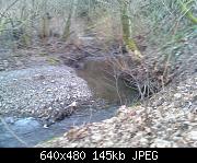 Creek Behind Vihara Temple