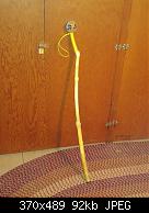 2nd BVS Walking Stick