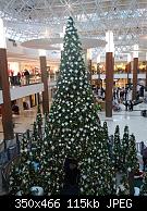 Guildford Mall Giant Tree