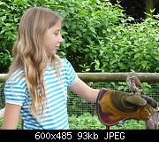 Flora and fauna 4 
 
Daughter with a pygmy owl which only weighs 2oz