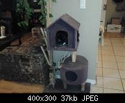 New Cat Tree 2