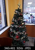 Tree #12 Churchs Chicken