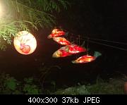 Moon Festival Fish Lanterns