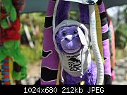 Purple monkey at the LA Zoo