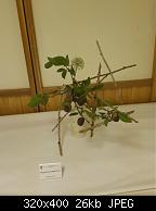 Ikebana 3