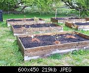 Garden Boxes