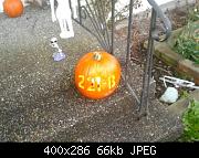 22 B Pumpkin