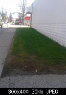 448 6th Street Unmowed