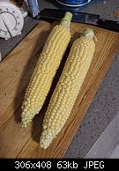 Corn On The Cob