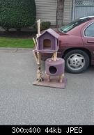 New Cat Tree 1