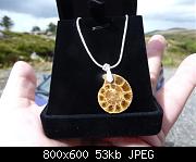 number 1... 
200 million year old ammonite.Comes as pictured. 
Sterling silver bail and chain 
Free shipping worldwide.$39